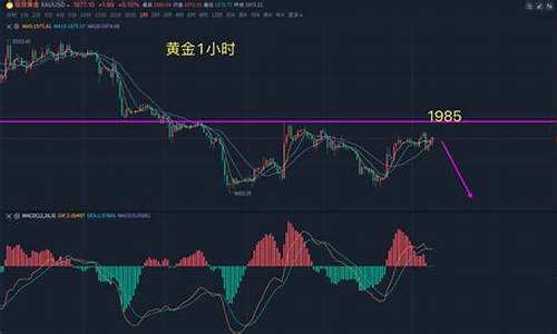 金价是否触及短线_金价狂跌