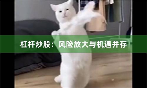 杠杆炒股：风险放大与机遇并存