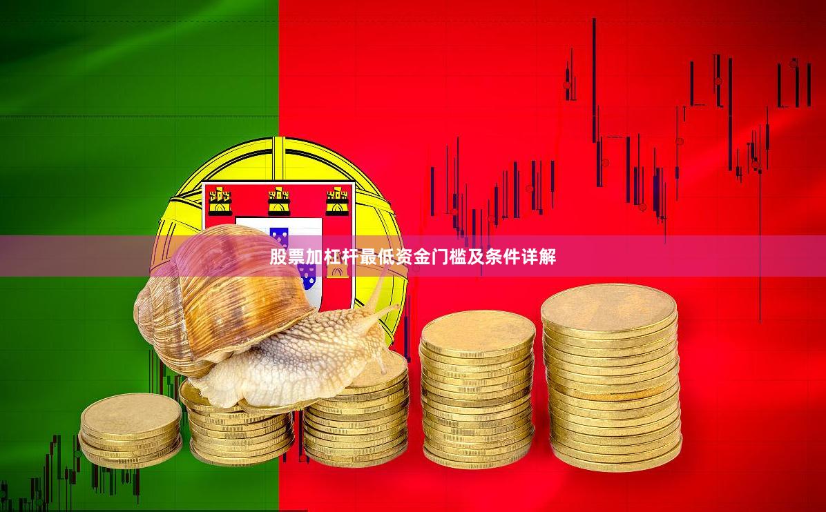 股票加杠杆最低资金门槛及条件详解